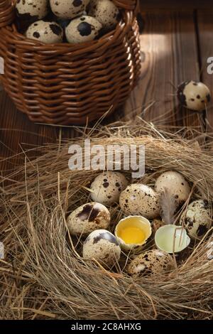 Mehrere Wachteleier im dekorativen Nest aus Stroh und im Korb auf dem Holztisch, senkrechtes Bild, flachlegen Stockfoto