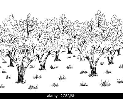 Apple Garten Grafik schwarz weiß Landschaft Skizze Illustration Vektor Stock Vektor