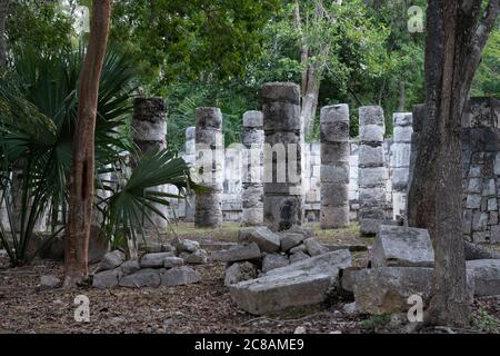 Steinsäulen der Westkolonade auf dem Platz der tausend Säulen in den Ruinen der großen Maya-Stadt Chichen Itza, Yucatan, Mexiko. Die Vor- Stockfoto