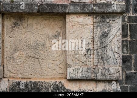 Die Plattform der Adler und Jaguare, im Maya-Toltec-Stil gebaut, in den Ruinen der großen Maya-Stadt Chichen Itza, Yucatan, Mexiko. Die Pre-H Stockfoto