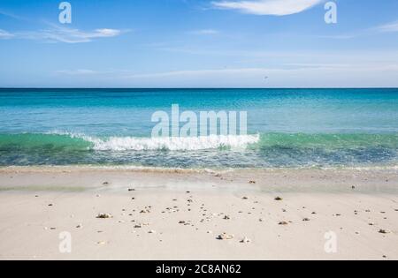 Der Golf von Kalifornien im Grand Sueno Resort als eine Welle bricht auf dem weißen Sandstrand, BCS, Mexiko. Stockfoto