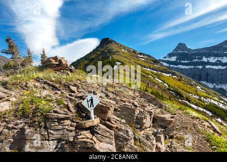 Wanderschild Trail Marker Mount Allan Centennial Ridge. Malerische Landschaft Panorama Alberta Foothills Canadian Rocky Mountains Blaue Skyline im Frühling Stockfoto