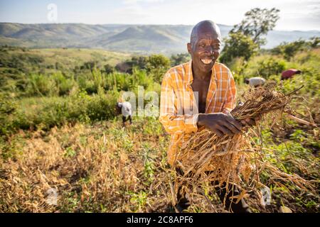 Ein Kleinbauern steht mit seiner frisch geernteten Bohnenernte inmitten der wunderschönen Hanglage des Lyantonde District, Uganda, Ostafrika. Stockfoto