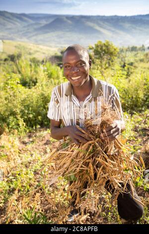 Ein Kleinbauern steht mit seiner frisch geernteten Bohnenernte inmitten der wunderschönen Hanglage des Lyantonde District, Uganda, Ostafrika. Stockfoto