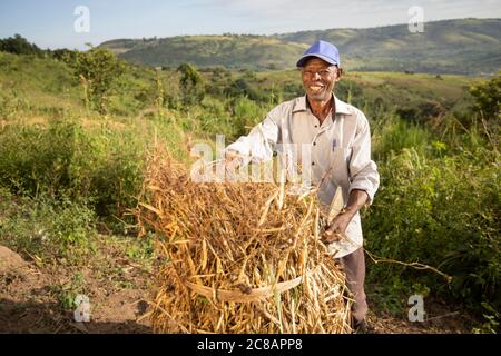 Ein Kleinbauern steht mit seiner frisch geernteten Bohnenernte inmitten der wunderschönen Hanglage des Lyantonde District, Uganda, Ostafrika. Stockfoto