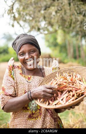 Eine lächelnde Bäuerin hält einen Korb ihrer frisch geernteten Bohnenernte auf ihrer Farm im ländlichen Lyantonde District, Uganda, Ostafrika. Stockfoto