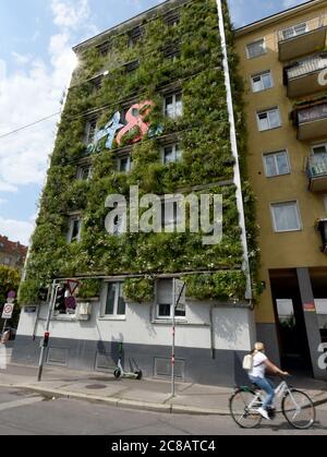 Wien. Juli 2020. Das Foto vom 22. Juli 2020 zeigt eine grüne Fassade des MA 48 Hauptsitzes in Wien, Österreich. Die Fassaden der MA 48-Zentrale waren mit Grünpflanzen ausgekleidet, die positive Effekte wie Mikroklima, Schutz des Gebäudegewebes vor treibendem Regen und Schmutzablagerungen, Lärmschutz und Kühlleistung zeigten. Kredit: Guo Chen/Xinhua/Alamy Live Nachrichten Stockfoto