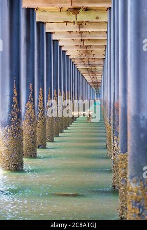 Blick unter langen hölzernen Pier Stockfoto