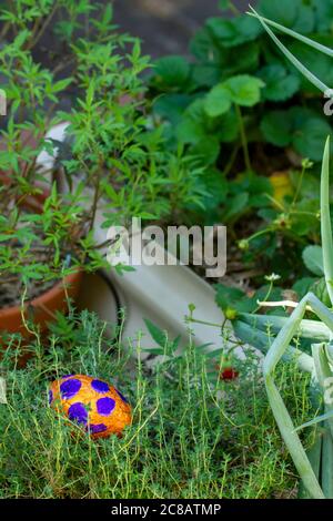 Osterei versteckt im Kräuter- und Gemüsegarten. Stockfoto