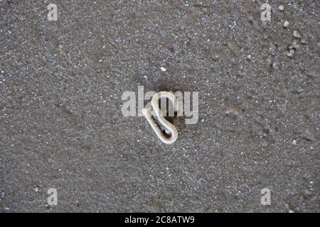 Quickly squiggle wurmförmige Hügel links an einem Strand in Essex, als ein Lugworm kam und ist weg Stockfoto