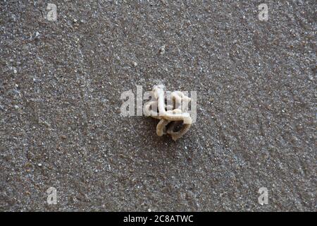 Quickly squiggle wurmförmige Hügel links an einem Strand in Essex, als ein Lugworm kam und ist weg Stockfoto