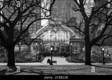 Frühlingshafter Sonnenuntergang im Toronto Allan Gardens Park mit einem Gewächshaus vor Hochhäusern. Schwarzweiß Stockfoto