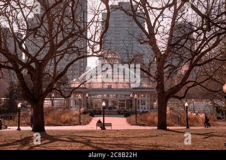 TORONTO, KANADA - 03 08 2020: Frühlingshafter Sonnenuntergang Allan Gardens Park Blick mit Allan Gardens Gewächshaus vor Hochhäusern auf Stockfoto