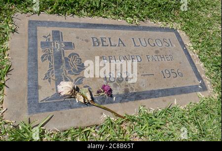 Culver City, California, USA 22. Juli 2020 EINE allgemeine Sicht der Atmosphäre des Grabes von Bela Lugosi in der Grotto-Sektion auf dem Holy Cross Friedhof am 22. Juli 2020 in Culver City, Kalifornien, USA. Foto von Barry King/Alamy Stockfoto Stockfoto