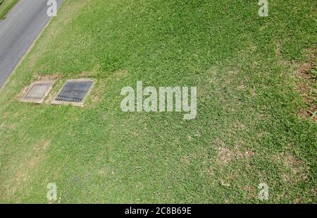 Culver City, California, USA 22. Juli 2020 EINE allgemeine Sicht der Atmosphäre von Pinto Colvig's unmarkiertes Grab auf dem Holy Cross Friedhof am 22. Juli 2020 in Culver City, Kalifornien, USA. Foto von Barry King/Alamy Stockfoto Stockfoto