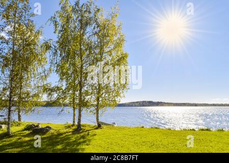 Die schöne Landschaft eines weißen einfachen Holzbootes, das an Birken gebunden ist, auf dem See irgendwo in den Tiefen Finnlands. Konzept Urlaub am See. Stockfoto