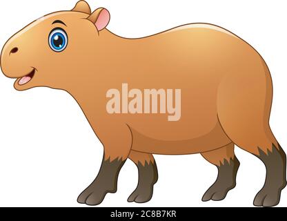 Illustration von Cute Capybara Cartoon Stock Vektor
