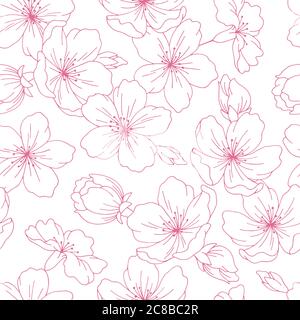 Sakura Grafik Blume rosa Farbe nahtlose Muster Hintergrund Skizze Illustration Vektor Stock Vektor