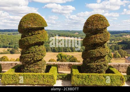 Europa, Frankreich, Dordogne, Hautefort. September 2019. Topiary im formalen Garten auf Schloss Hautefort, Chateau de Hautfort. Stockfoto