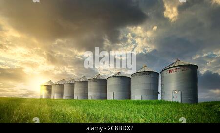 Alberta Getreidebehälter auf der Prärie Stockfoto