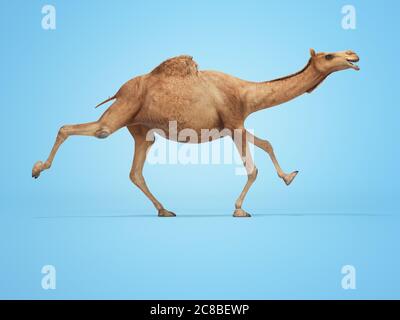 3d-Rendering-Konzept von Kamel läuft auf blauem Hintergrund mit Schatten Stockfoto