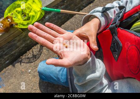 Hand hält einen kleinen orangefarbenen Fisch. Stockfoto