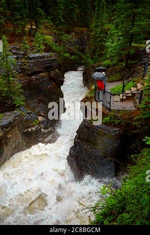 Der Maligne Canyon ist ein schmaler Canyon im Jasper National Park in der Nähe von Jasper, Alberta, Kanada. Stockfoto