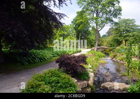 Beck fließt durch Fußweg in RHS Garden Harlow Carr, Harrogate, Yorkshire, England, Großbritannien. Stockfoto