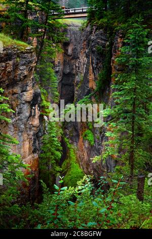 Maligne Canyon mit steilen Kalksteinmauern und schnell fließendem Gletscherwasser, das durch eine bewaldete Schlucht im Jasper National Park, Alberta, fließt. Stockfoto