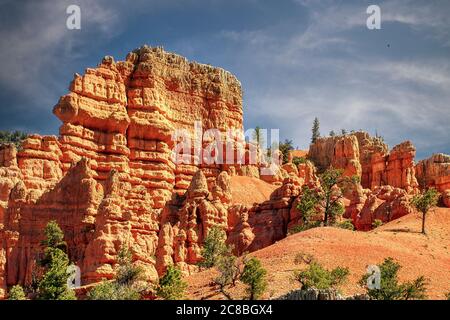 Entdecken Sie die einzigartige Tierwelt und die unglaubliche Aussicht auf den Dixie National Forest in Utah. Stockfoto