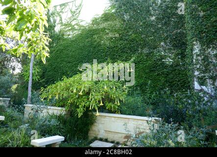 Culver City, California, USA 22. Juli 2020 EIN allgemeiner Blick auf die Atmosphäre des Hillside Memorial Parks in Culver City, Kalifornien, USA. Foto von Barry King/Alamy Stockfoto Stockfoto