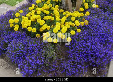 Culver City, California, USA 22. Juli 2020 EIN allgemeiner Blick auf die Atmosphäre des Hillside Memorial Parks in Culver City, Kalifornien, USA. Foto von Barry King/Alamy Stockfoto Stockfoto