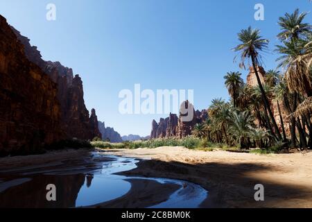 Wadi Disah, auch bekannt als Wadi Qaraqir, ist eine 15 Kilometer lange Schlucht, die durch den Jebel Qaraqir, ein Sandsteinmassiv, das etwa 80 Kilometer liegt, führt Stockfoto