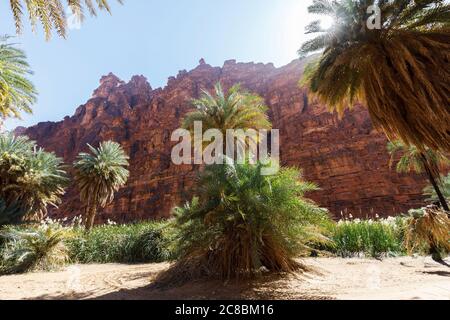 Wadi Disah, auch bekannt als Wadi Qaraqir, ist eine 15 Kilometer lange Schlucht, die durch den Jebel Qaraqir, ein Sandsteinmassiv, das etwa 80 Kilometer liegt, führt Stockfoto