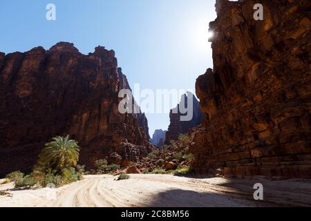 Wadi Disah, auch bekannt als Wadi Qaraqir, ist eine 15 Kilometer lange Schlucht, die durch den Jebel Qaraqir, ein Sandsteinmassiv, das etwa 80 Kilometer liegt, führt Stockfoto