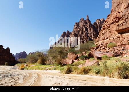 Wadi Disah, auch bekannt als Wadi Qaraqir, ist eine 15 Kilometer lange Schlucht, die durch den Jebel Qaraqir, ein Sandsteinmassiv, das etwa 80 Kilometer liegt, führt Stockfoto