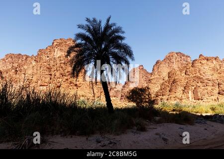 Wadi Disah, auch bekannt als Wadi Qaraqir, ist eine 15 Kilometer lange Schlucht, die durch den Jebel Qaraqir, ein Sandsteinmassiv, das etwa 80 Kilometer liegt, führt Stockfoto