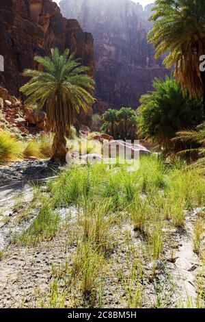 Wadi Disah, auch bekannt als Wadi Qaraqir, ist eine 15 Kilometer lange Schlucht, die durch den Jebel Qaraqir, ein Sandsteinmassiv, das etwa 80 Kilometer liegt, führt Stockfoto