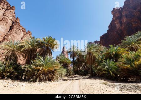 Wadi Disah, auch bekannt als Wadi Qaraqir, ist eine 15 Kilometer lange Schlucht, die durch den Jebel Qaraqir, ein Sandsteinmassiv, das etwa 80 Kilometer liegt, führt Stockfoto