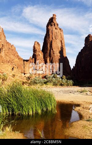 Wadi Disah, auch bekannt als Wadi Qaraqir, ist eine 15 Kilometer lange Schlucht, die durch den Jebel Qaraqir, ein Sandsteinmassiv, das etwa 80 Kilometer liegt, führt Stockfoto