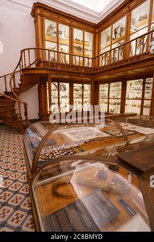 Das Wissenschaftsmuseum der Universität von Coimbra aka Museu da Ciência da Universidade de Coimbra in Coimbra, Portugal, Europa Stockfoto