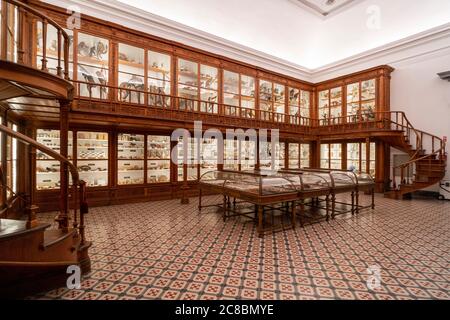 Das Wissenschaftsmuseum der Universität von Coimbra aka Museu da Ciência da Universidade de Coimbra in Coimbra, Portugal, Europa Stockfoto