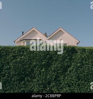 Ein typisches M-förmiges / doppelt geneigtes / doppelt geneigtes Vorstadthaus, halb verstecktes Grundstück hinter einer hohen grünen Gartenhecke mit blauem Himmel. Stockfoto