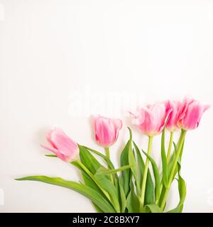 Rosa Tulpen Bouquet isoliert auf weißem Hintergrund von oben. Draufsicht auf rote Blumenknospen. Design-Layout für Grußkarten im Frühling und ostern. Stockfoto