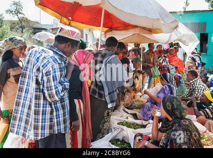 Eine Gruppe von Leuten, die Khat-Drogen auf dem Marktplatz verkaufen, im Dezember 26, 2012 in Harar, Äthiopien. Khat Kauen hat eine Geschichte als sozialer Brauch Dating Stockfoto