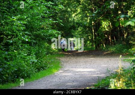 Ein Seniorenpaar läuft auf einer Waldstraße. Aktiver Lebensstil der älteren Menschen. Gemeinsamer Lebensweg. Stockfoto