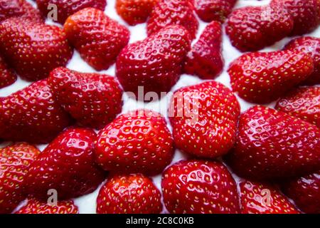 Nahaufnahme von ganzen Erdbeeren auf einem Kuchen von oben Stockfoto