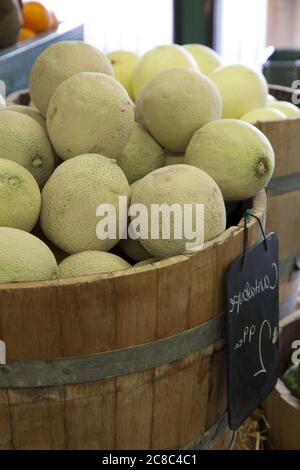 Nahaufnahme von Cantaloupe Melonen zum Verkauf auf dem Markt Stockfoto