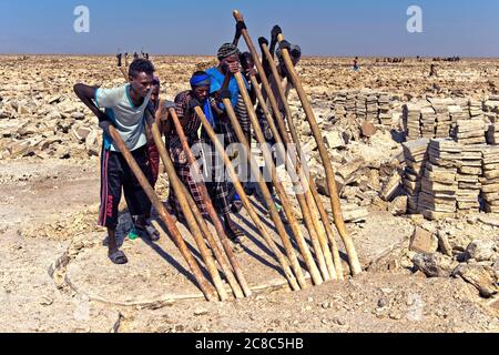 Salzarbeiter brechen mit hölzernen Brecheisen Salzblöcke aus der Salzkruste des Assale Sees, in der Nähe von Hamadela, Danakil Depression, Afar Region, Äthiopien Stockfoto