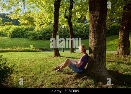 Eine Frau sitzt auf dem Gras unter einem Baum am Rande eines Parks bei Sonnenuntergang und liest ein Buch. Stockfoto